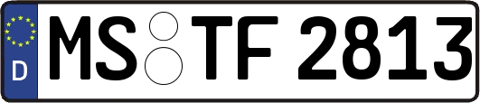 MS-TF2813