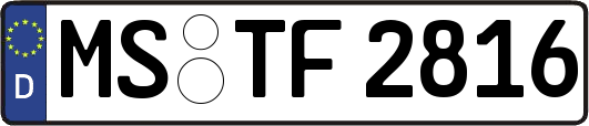 MS-TF2816