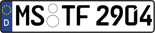 MS-TF2904