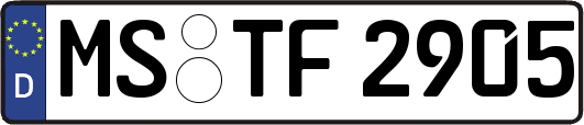 MS-TF2905