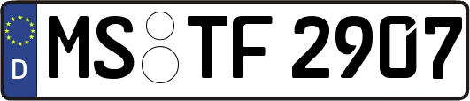 MS-TF2907