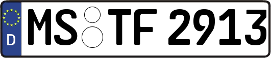 MS-TF2913
