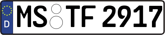 MS-TF2917
