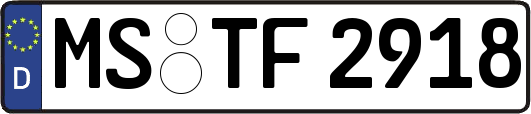 MS-TF2918