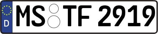 MS-TF2919