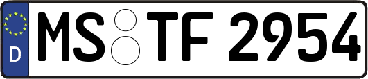 MS-TF2954