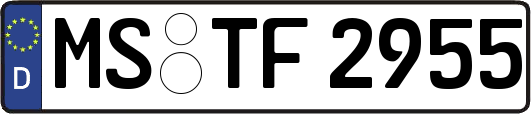 MS-TF2955
