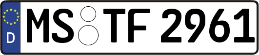 MS-TF2961