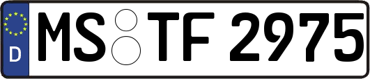 MS-TF2975