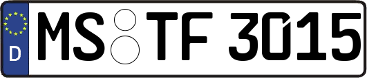 MS-TF3015