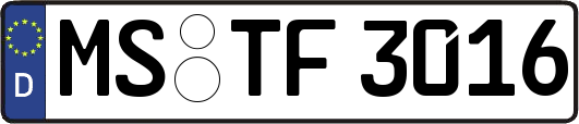 MS-TF3016