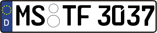 MS-TF3037