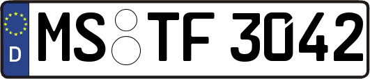 MS-TF3042