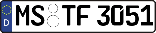 MS-TF3051