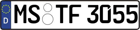 MS-TF3055