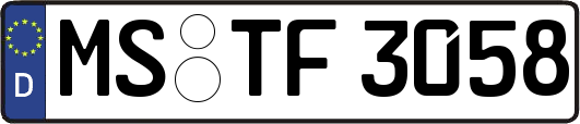 MS-TF3058
