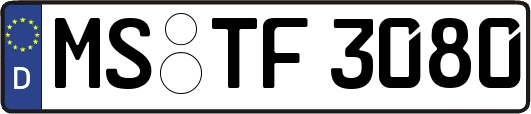 MS-TF3080