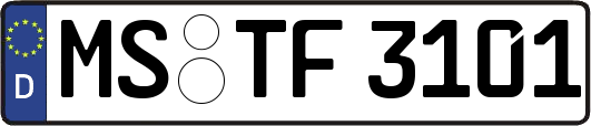 MS-TF3101