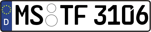 MS-TF3106