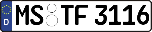 MS-TF3116