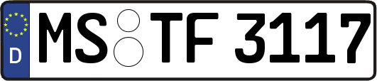 MS-TF3117