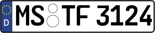 MS-TF3124