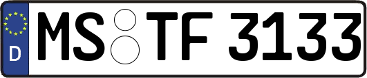 MS-TF3133