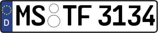 MS-TF3134