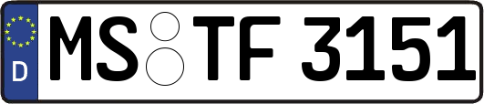 MS-TF3151