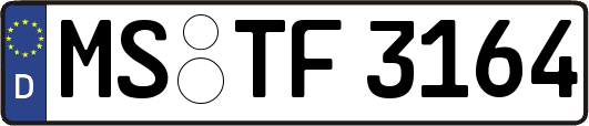 MS-TF3164