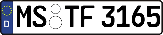 MS-TF3165