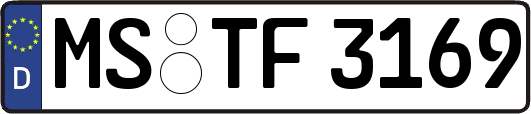 MS-TF3169