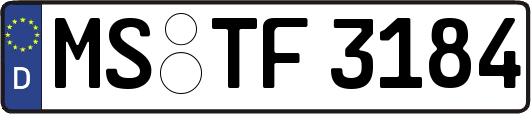 MS-TF3184