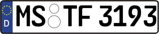 MS-TF3193