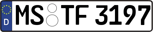 MS-TF3197
