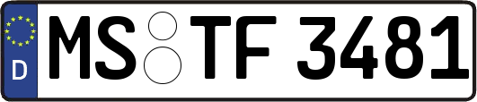 MS-TF3481