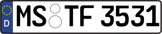 MS-TF3531