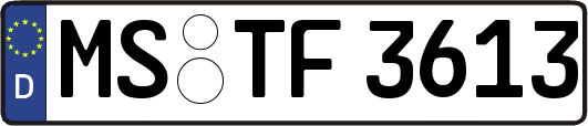 MS-TF3613