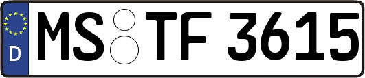 MS-TF3615