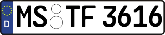 MS-TF3616