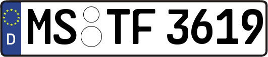 MS-TF3619