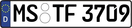 MS-TF3709