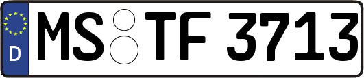 MS-TF3713
