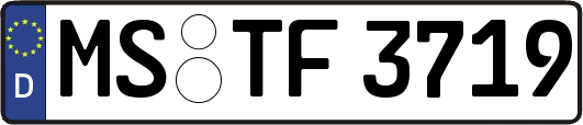 MS-TF3719
