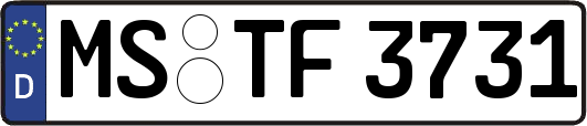 MS-TF3731