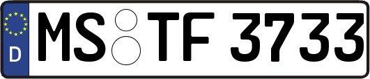 MS-TF3733
