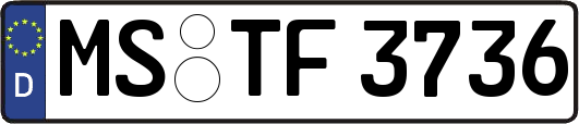 MS-TF3736