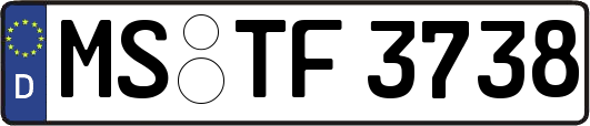 MS-TF3738