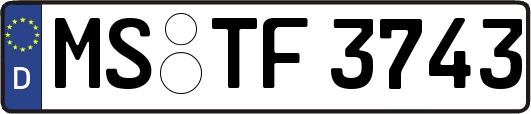 MS-TF3743