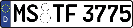 MS-TF3775